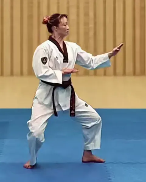 Sonnal-momtong-makgi, Double Knifehand Middle Block