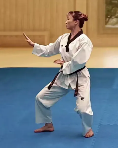 Sonnal-momtong-makgi, Double Knifehand Middle Block