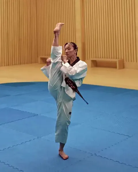 Ap-chagi, Front Kick