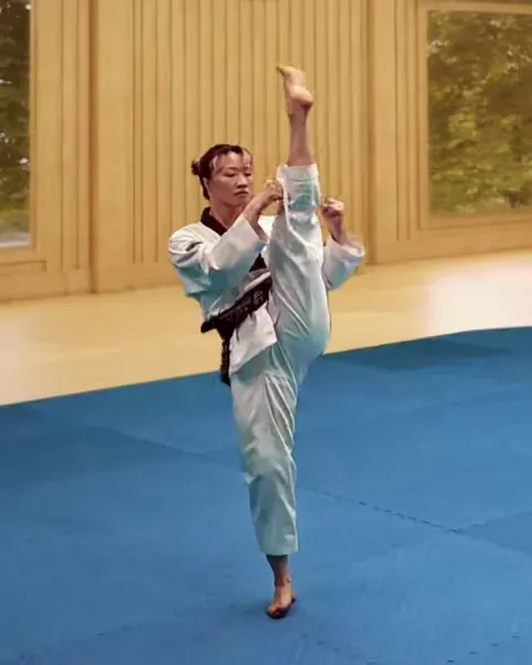Ap-chagi, Front Kick