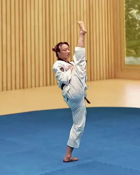 Ap-chagi, Front Kick
