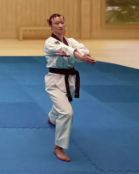 Pyeonsonkkeut-sewo-jjireugi, Vertical Fingertip Thrust (Spearhand)