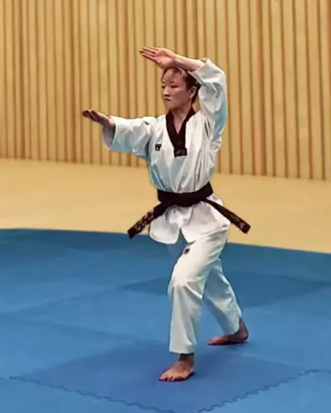 Jebipum-mok-chigi, Swallowform Knifehand Strike