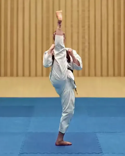 Ap-chagi, Front Kick