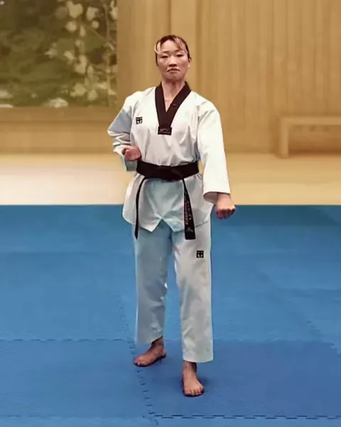Arae-makgi, Low Block
