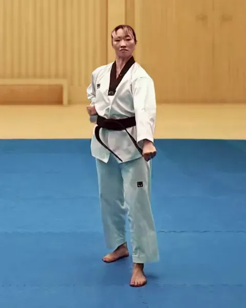 Arae-makgi, Low Block