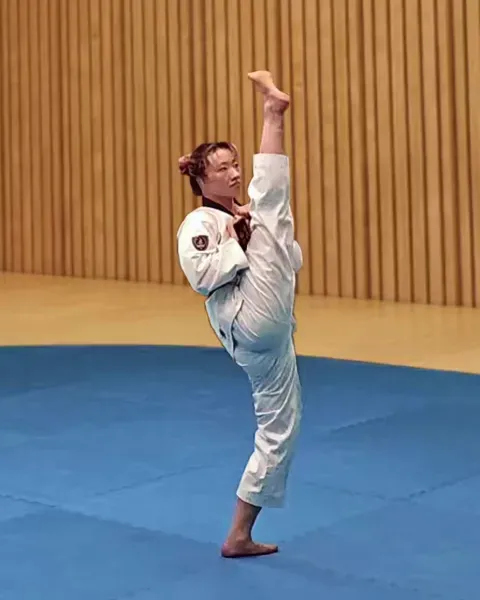 Ap-chagi, Front Kick