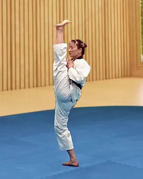 Ap-chagi, Front Kick