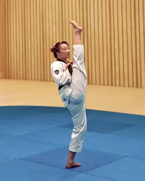 Ap-chagi, Front Kick