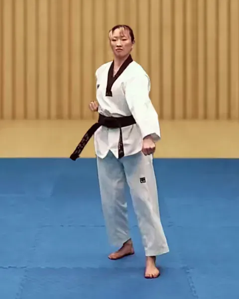 Arae-makgi, Low Block