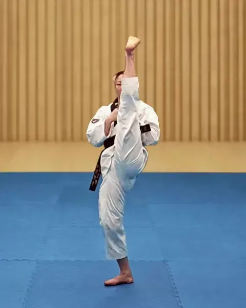 Ap-chagi, Front Kick