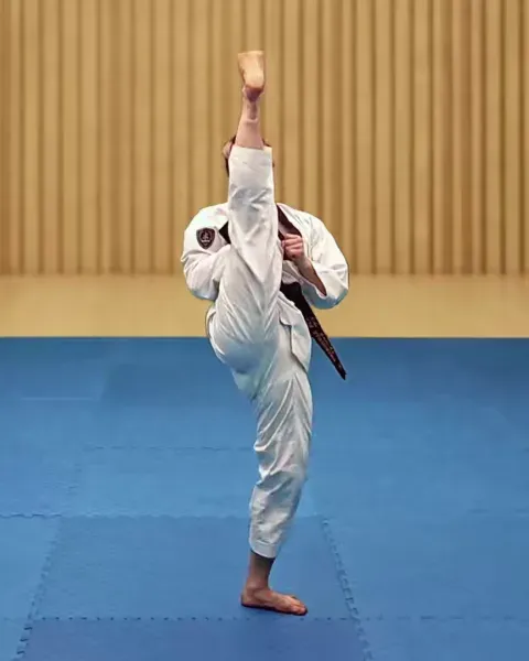 Ap-chagi, Front Kick
