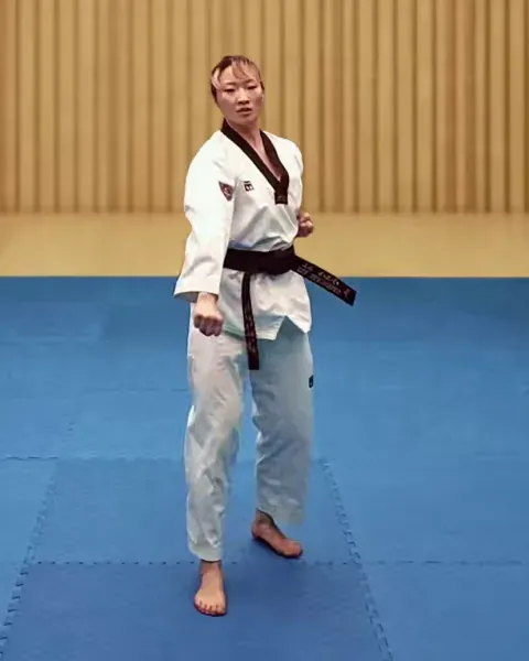 Arae-makgi, Low Block