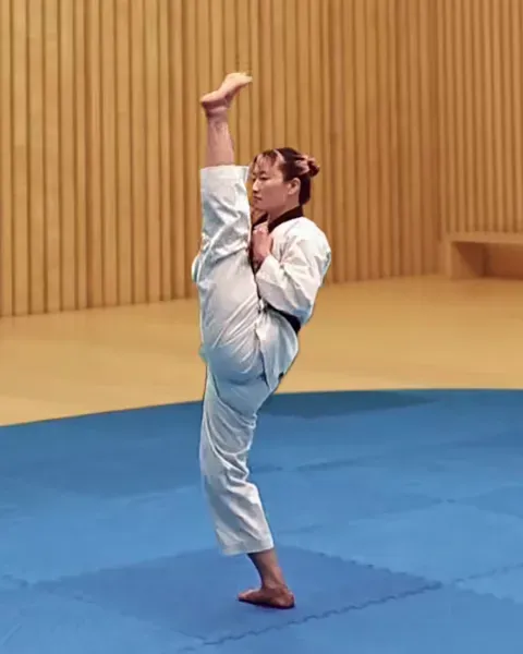 Ap-chagi, Front Kick