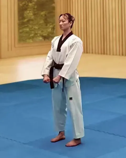 Gibon, Basic