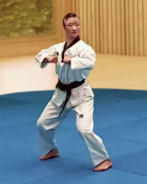 Du-palgup-yeop-chigi, Double Elbow Strike
