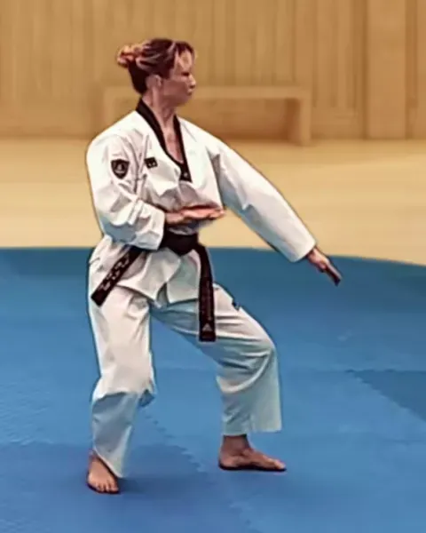 Sonnal-arae-makgi, Double Knifehand Low Block