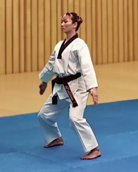 Sonnal-arae-hecheo-makgi, Double Knifehand Low Opening Block