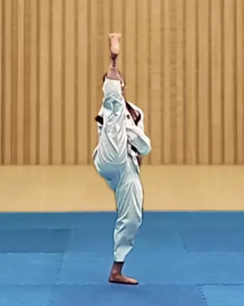 Ap-chagi, Front Kick
