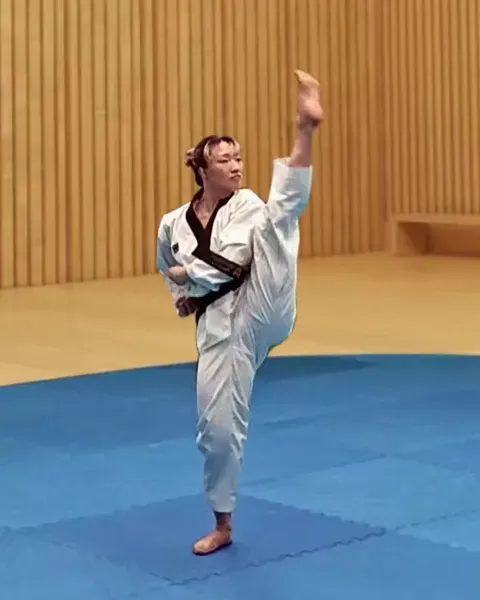 Ap-chagi, Front Kick