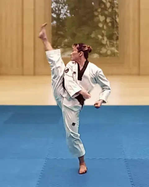 Ap-chagi, Front Kick