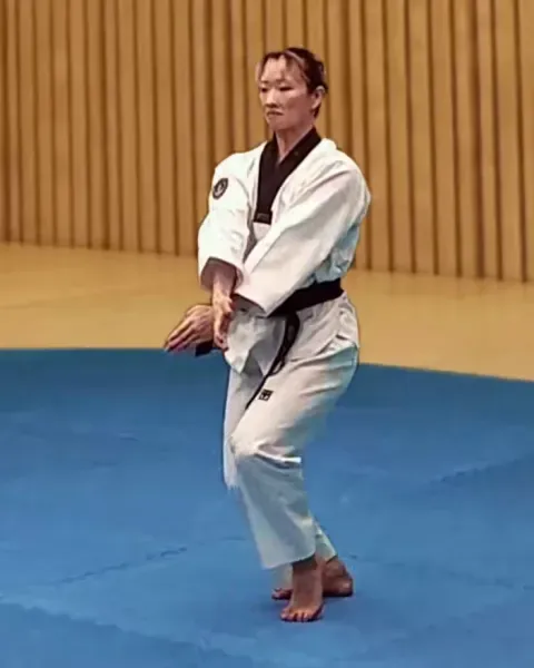 Sonnal-eotgeoreo-arae-makgi, Knifehand Low Cross Block