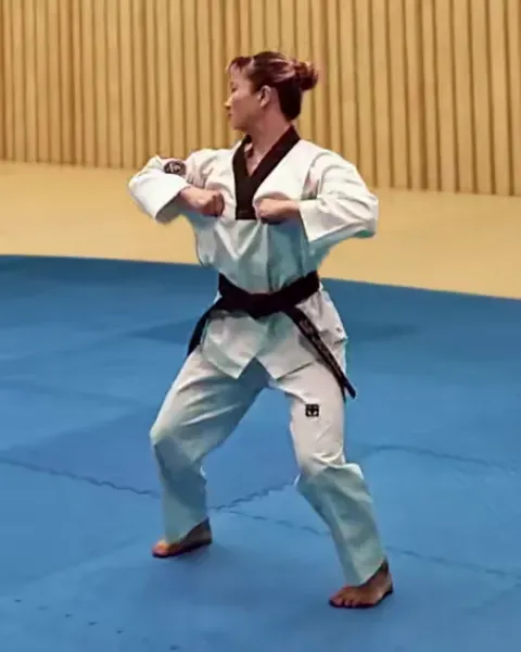 Du-palgup-yeop-chigi, Double Elbow Strike