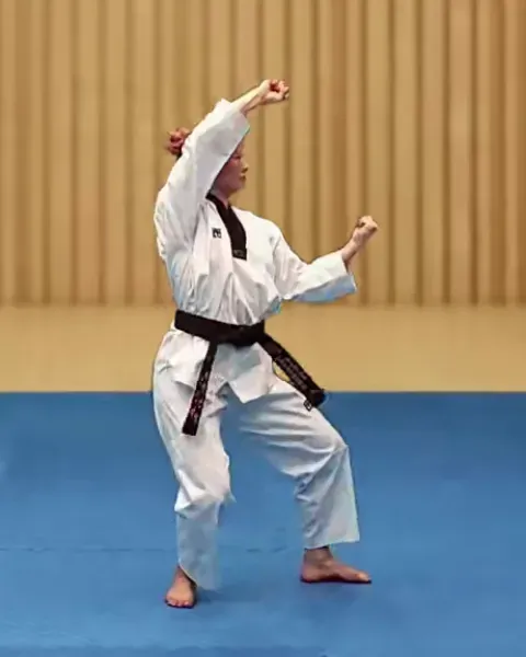 Keumgang-makgi, Diamond Block (right arm high)