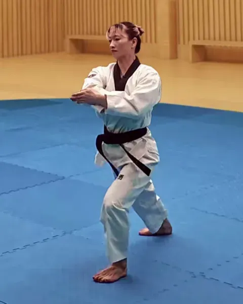 Palgup-pyojeok-chigi, Elbow Target Strike