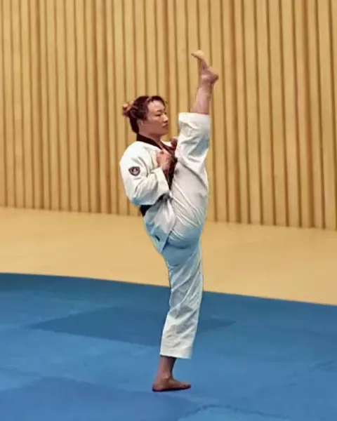 Ap-chagi, Front Kick