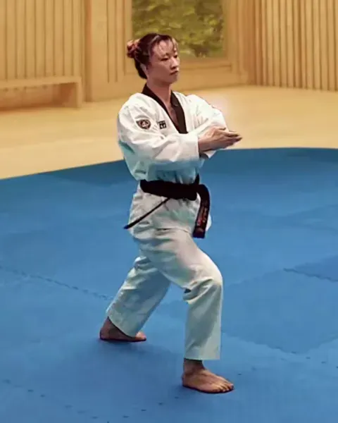 Palgup-pyojeok-chigi, Elbow Target Strike