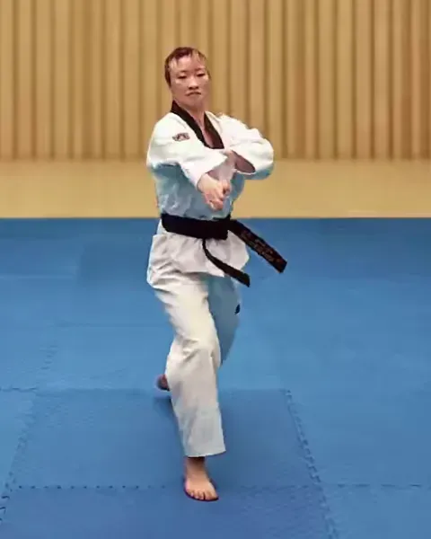 Pyeonsonkkeut-sewo-jjireugi + Nulleo-makgi, Vertical Fingertip Thrust + Pressing Block