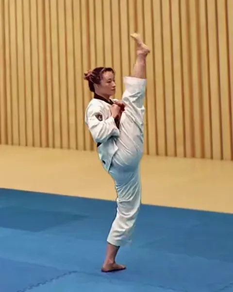 Ap-chagi, Front Kick