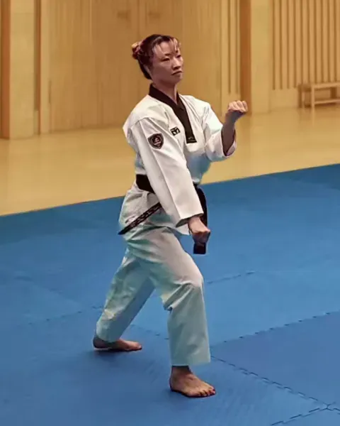 Gawi-makgi, Scissors Block (left arm high)