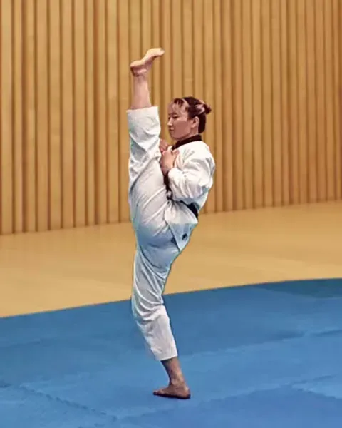 Ap-chagi, Front Kick