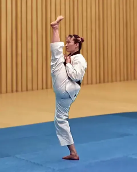 Ap-chagi, Front Kick