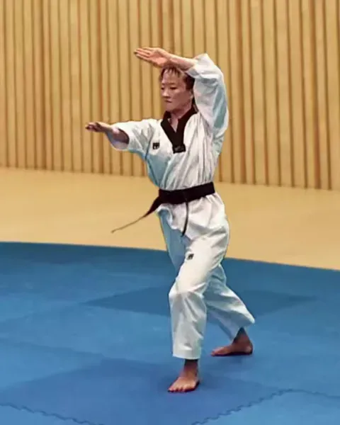 Jebipum-mok-chigi, Swallowform Knifehand Strike