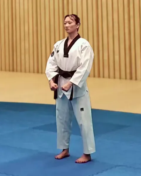 Gibon, Basic