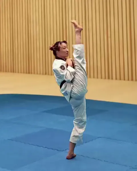 Ap-chagi, Front Kick