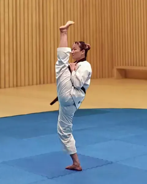 Ap-chagi, Front Kick