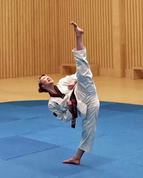 Dollyeo-chagi, Roundhouse Kick