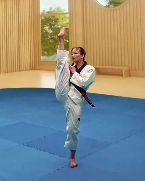 Ap-chagi, Front Kick