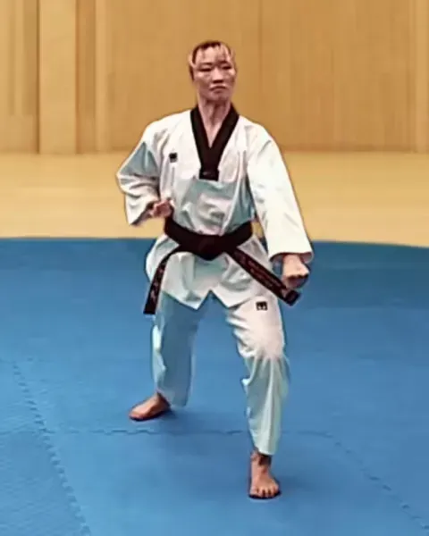 Arae-makgi, Low Block