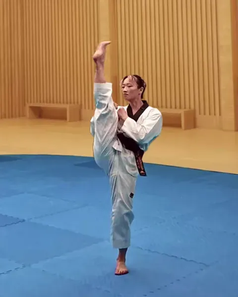 Ap-chagi, Front Kick