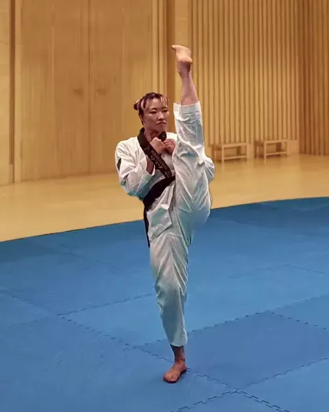 Ap-chagi, Front Kick