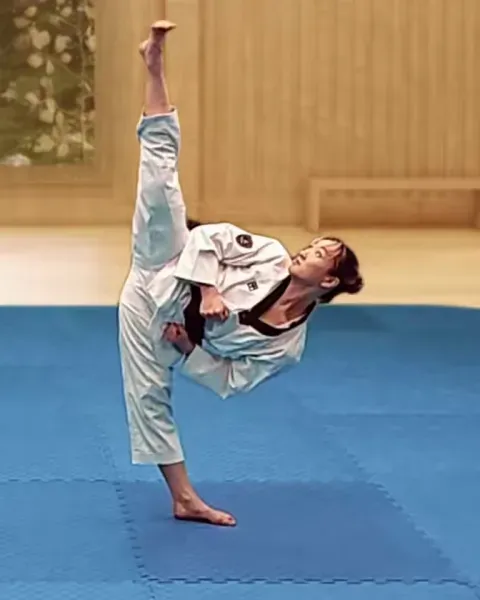 Dollyeo-chagi, Roundhouse Kick