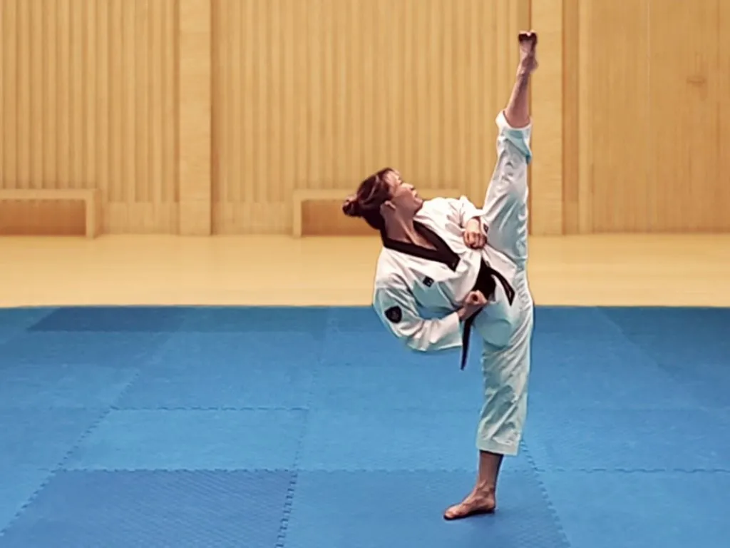 Taegeuk Yuk Jang, performed by Eva Sandersen